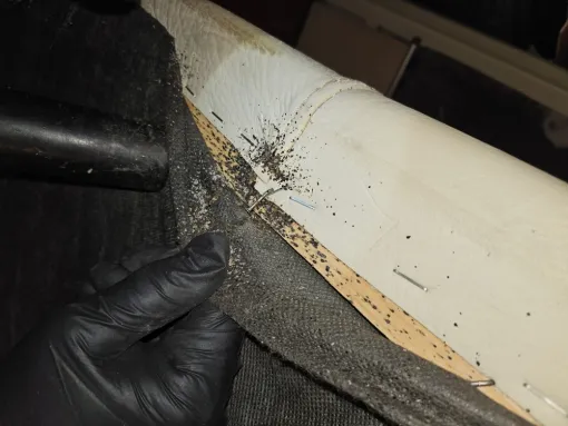 Signes d'une infestation de punaises de lit, FLB Nuisibles