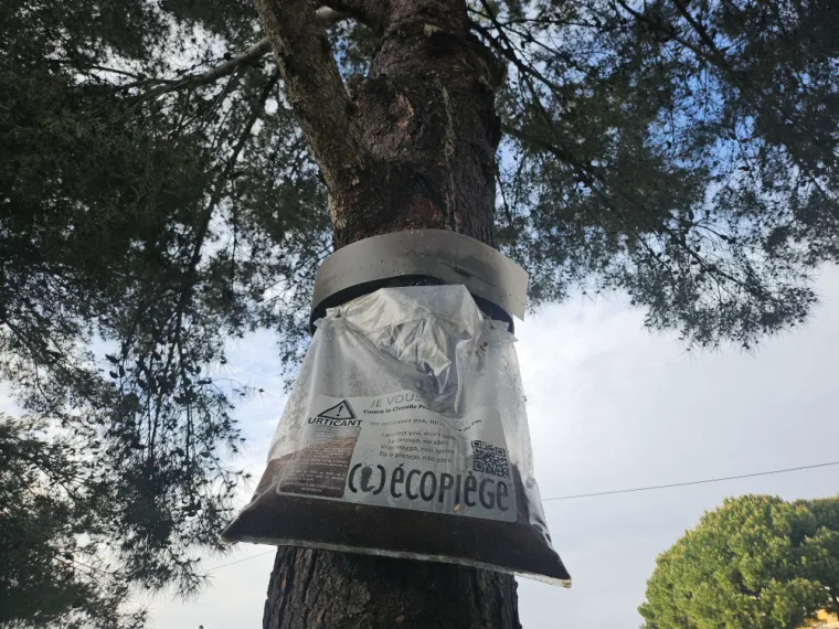 Ecopiège, Draguignan, FLB Nuisibles