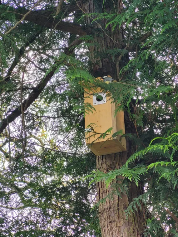 Nichoir à mésanges, Draguignan, FLB Nuisibles